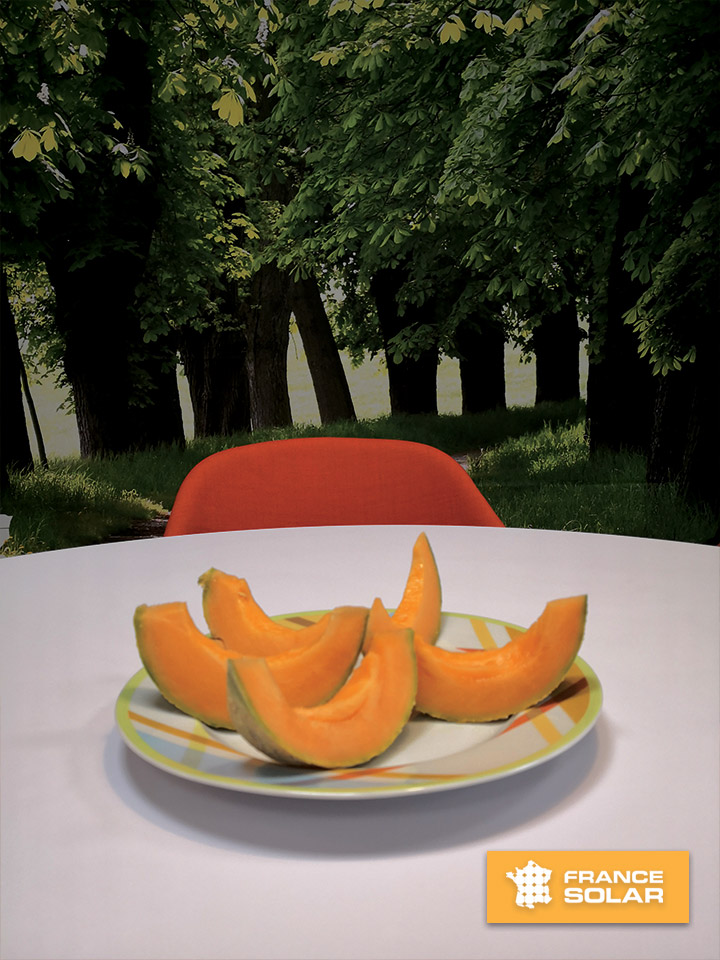 Petite pause melon : Petite pause melon (Photo prise le 19 Août 2020)