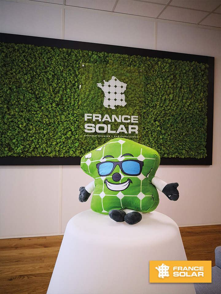 France Solar 2020 : Photo de la peluche France Solar (Photo prise le 12 Juin 2020)